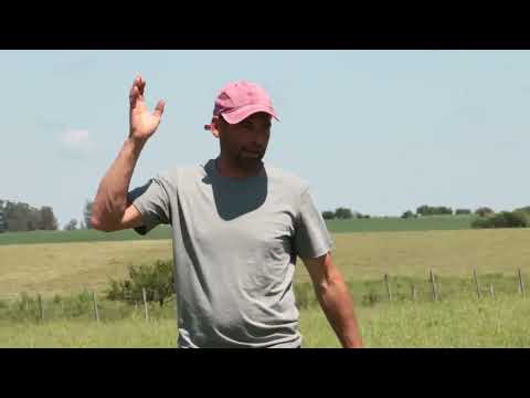 GRUPOS PLAN ESTABLECIMIENTO DARIO PEREZ - REBOLEDO FLORIDA - BLOQUE 1 MARTES 19 DE NOVIEMBRE DE 2024