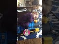 Judgy Cat's Runaway Train
