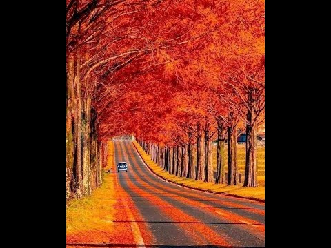 Ta vẫn còn sầu - Quỳnh Lan