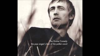 The Divine Comedy - This Side of Paradise