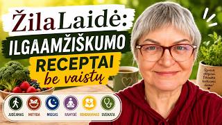 „ŽilaLaidė“: ilgaamžiškumo receptai be vaistų
