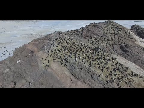 Gombessa 3 expedition - Episode 11