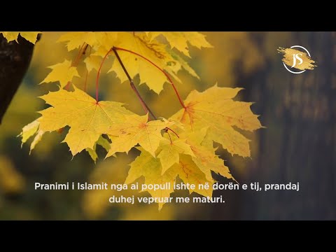 Dihjetul Kelbi (r.a) - Jete Sahabesh