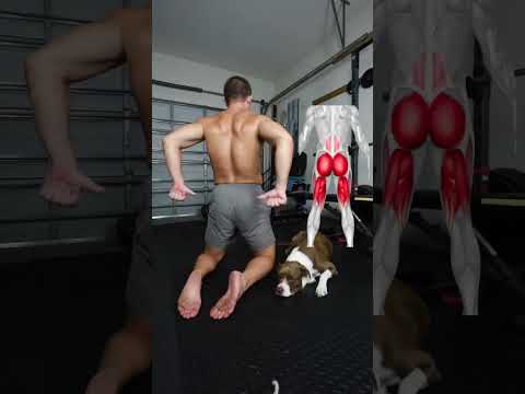 Core Exercises to Correct Low Back Pain