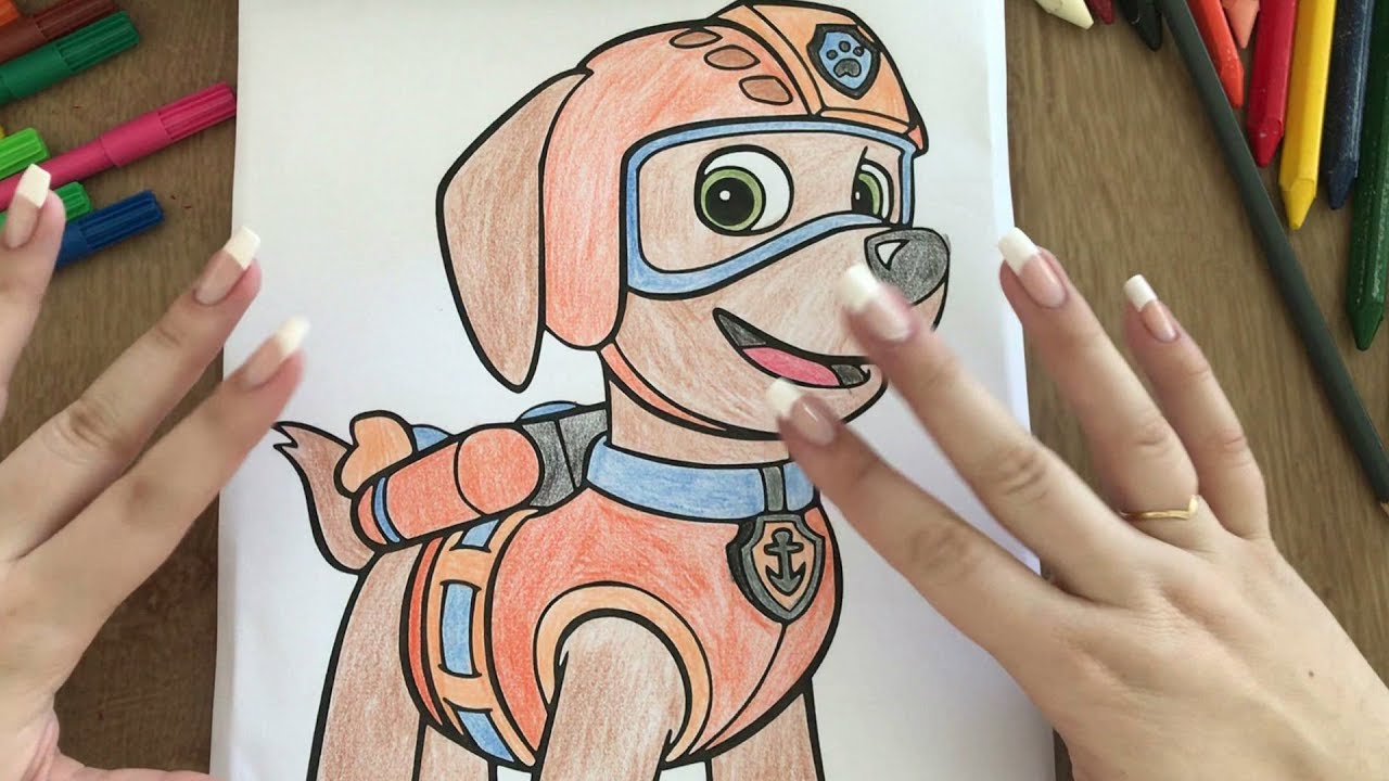 ZUMA - PINTANDO A ZUMA!!! - - PAINTING ZUMA