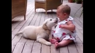 Squeaky baby getting more from the Golden Retriever puppy than she asked for