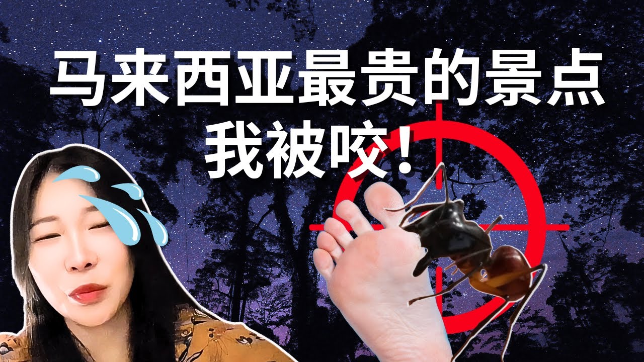 马来西亚最贵的景点，我被全球最大的蚂蚁咬! 沙巴拿笃丹浓谷婆罗洲雨林度假村 Danum Valley Borneo Rainforest