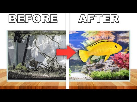 Transforming an Abandoned Fish Tank
