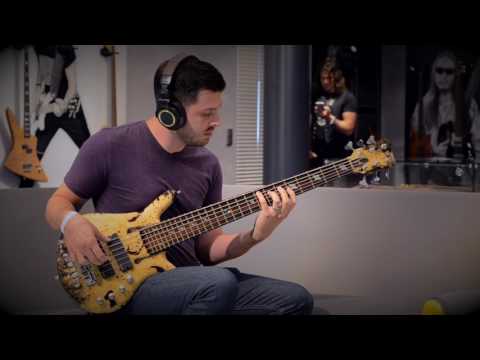 MARK MICHELL - Solo Bass at Warwick Bass Camp 2016