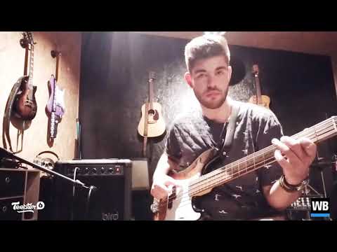 BIRD INSTRUMENTS BA620 - Test & Avis d'un client Woodbrass