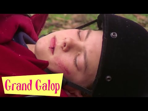 Grand Galop - La Course d'obstacle | Partie 1 | Saison 1 | Episode 3