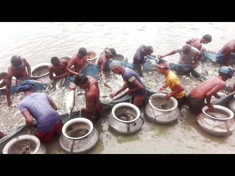 Wow!!! Amazing Gill Net Fishing | Catch Hundreds Tons Fish