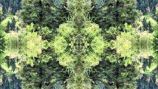 Shakta - Tritone Frenzy