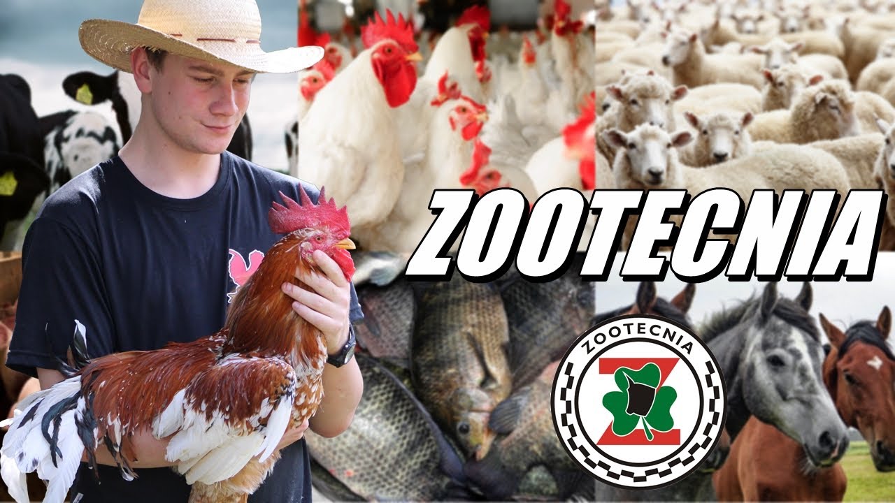 O QUE FAZ UM ZOOTECNISTA?
