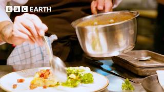 Fine Dining in Norway's Lofoten Islands | Amazing Hotels: Life Beyond the Lobby | The Travel Edit