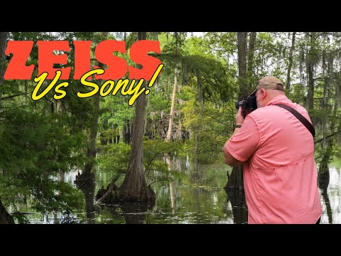 Vintage Zeiss vs Modern Sony 50mm Lens Shootout!