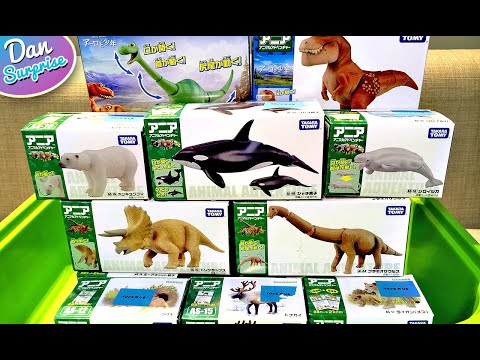 Wild Animals, Prehistoric Animals, Dinosaurs Collection