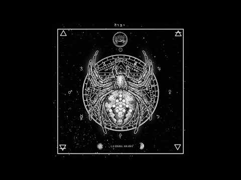 LA DIOSA ARAÑA - GRODÉLICO EL CELTA & DIRTY LOSEN