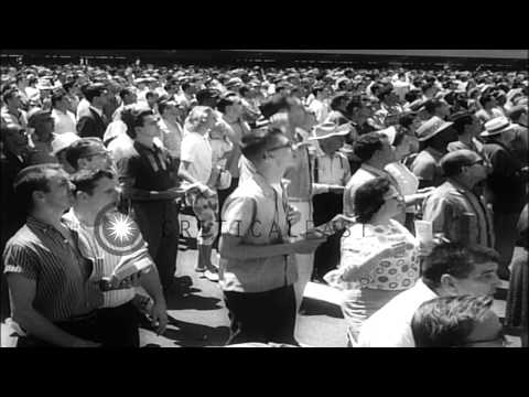 Drill Site wins the Hollywood Derby in Inglewood, California. HD Stock Footage