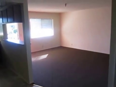 PL9592 - Great 1+1 Apartment for Rent! (Hawthorne)