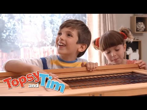 Poszukiwacze dużych skrzynek i Finderów | Tosia i Tymek Odcinek podwójny 111-112 | Pełne odcinki HD