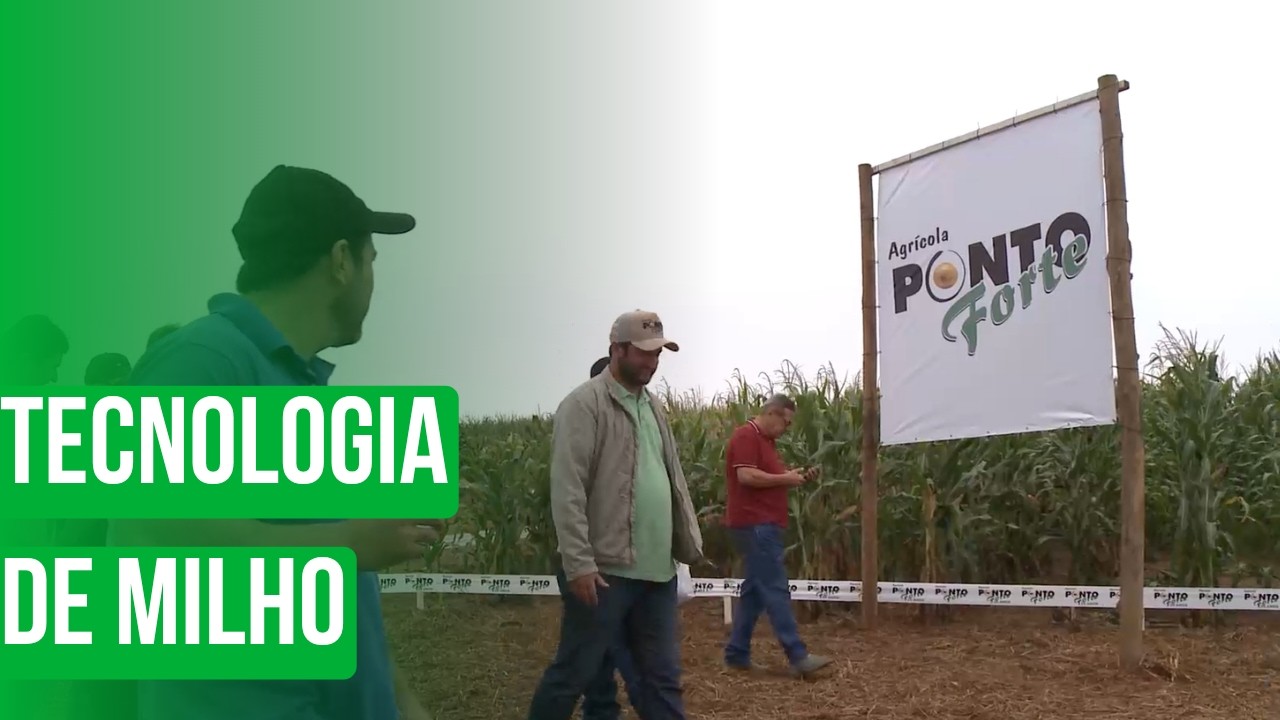 Tecnologia de milho