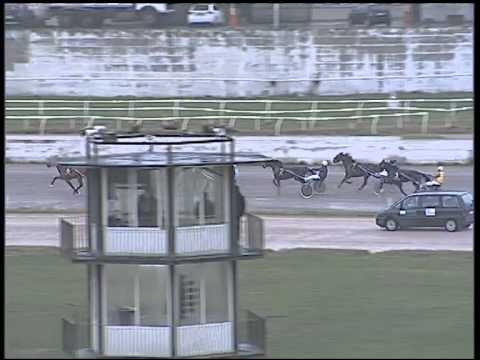 Trotto 22/01/2015 - 2° Corsa