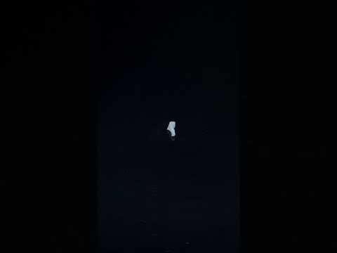 YouTube 썸네일