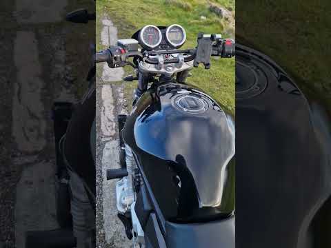 Suzuki bandit - Image 2