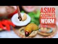 ASMR Coconut Worm Viet Nam Exotic Food Challenge Eating Sounds LINH ASMR