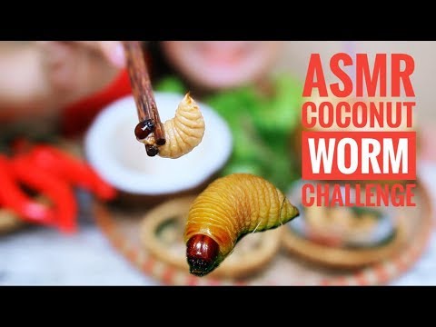 Funny travel videos - Eating Coconut Bugs