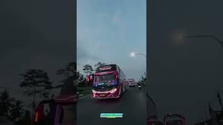 Download lagu STORY WA BUS KUPU KUPU AYU QIANA X PEPEBE DIAMOND TER      BARU 2024 #fypシ #fypp #shorts #beranda mp3