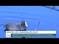 Día de los Humedales 2019