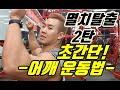 운동초보들도 할 수 있는어깨운동 멸치탈출 초간단 어깨 깡패 정석운동법2편ㅣ덤벨프레스