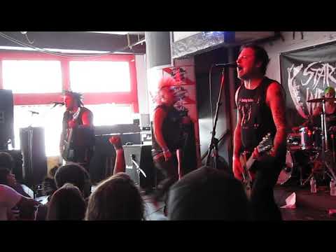 STARVING WOLVES  MVI 0908