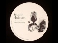 Stupid Human - Skyy - Slow Motion 