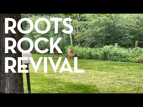 The Albums I Have Missed - Roots Rock Revival bonus episode