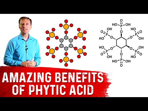 An APPLE a Day Will NOT Let Your Weight Go Away – Dr Berg