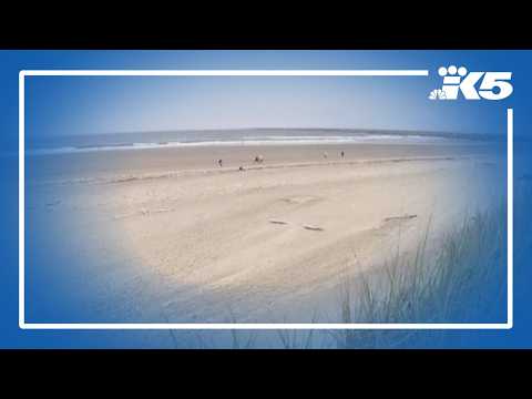 Expert says new tsunami report isn't a reason to panic, it's a ...
