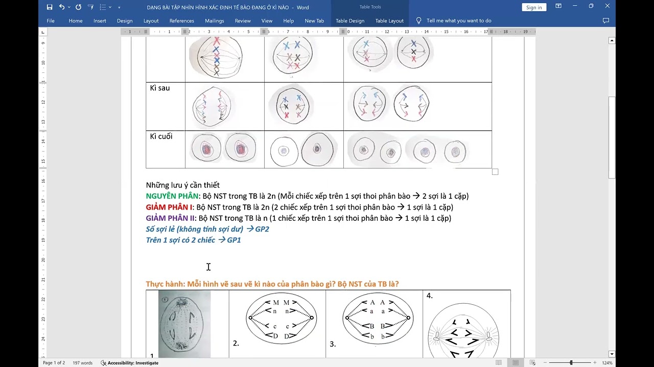 DẠNG BÀI TẬP XÁC ĐỊNH BỘ NST QUA HÌNH VẼ 1 TẾ BÀO ĐANG PHÂN BÀO