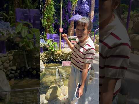 Phát hiện những con vật độc lạ/kỳ kỳ tv & Family #shortvideo