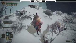 ＃１６ 【ARPG/PS5】ELDEN RING -エルデン リング- 星見　火の巨人・・・