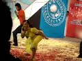 Anjuman Shehzadi Best