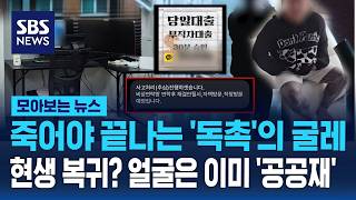 죽어야 끝나는 '독촉'의 굴레..현생 복귀? 얼굴은 이미 '공공재' / SBS / 모아보는 뉴스