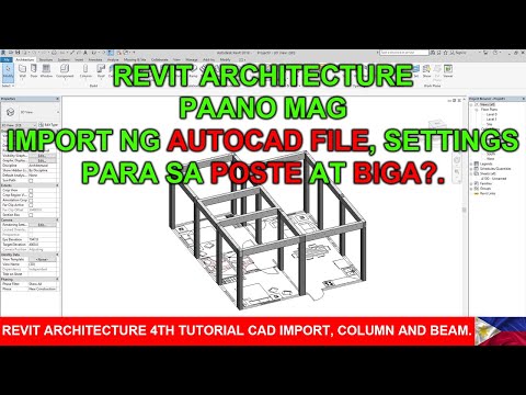 REVIT ARCHITECTURE CAD IMPORT, COLUMN & BEAM