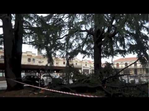 Tetti scoperchiati e alberi abbattuti a Gallarate