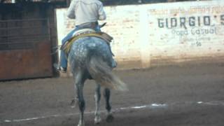 preview picture of video 'concurso de caballos bailadores en mascota jalisco 2012'