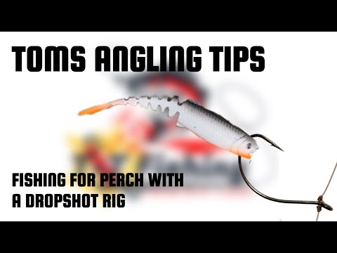 TOMS ANGLING TIPS: Fishing For Perch With A Dropshot Rig! 