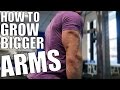 HOW TO GET HUGE TRICEPS! Tips For Bigger Arms