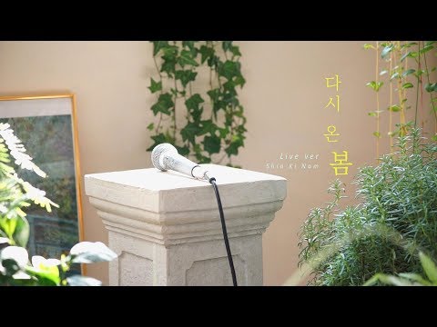 신기남(Shin kinam) - 다시 온 봄(Spring Again) LIVE CLIP